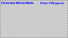 Text Box: 5.0 inches WVGA White        Price: CHF350.00